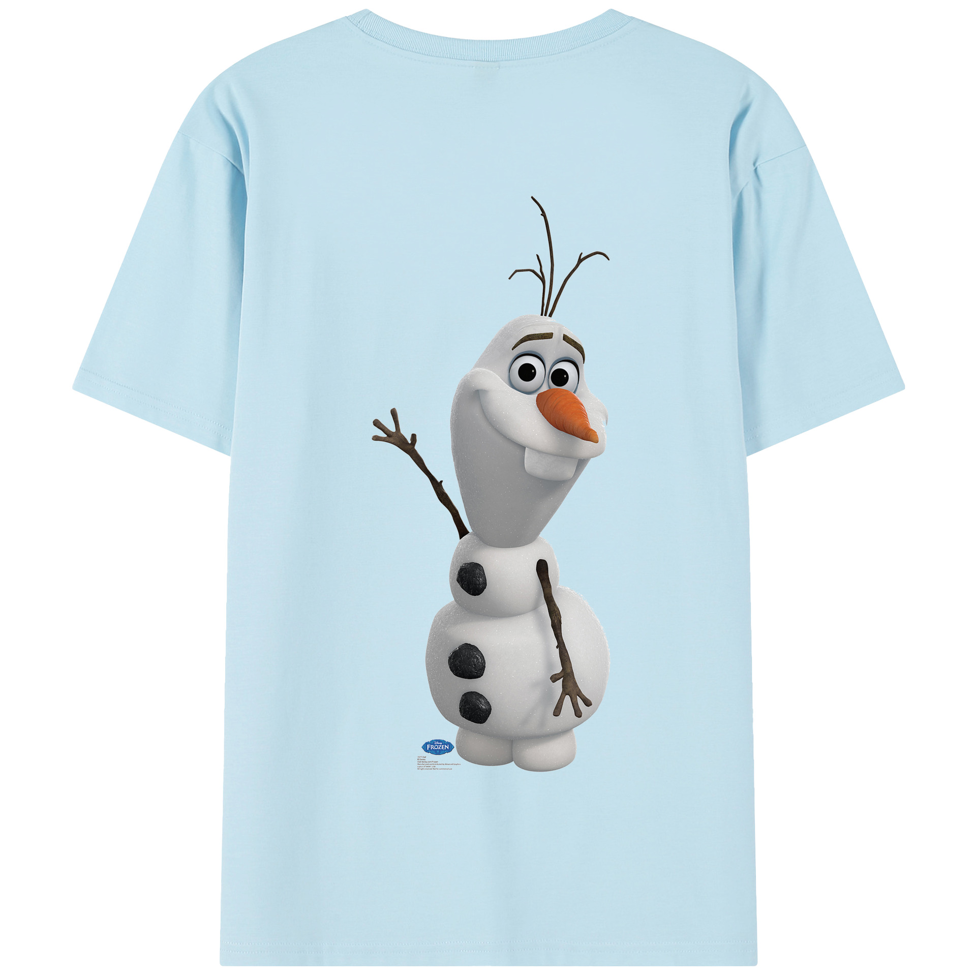 （画像用） アナと雪の女王 アンナ エルサ Frozen Anna Elsa 綿100％半袖Tシャツ（背面プリント）